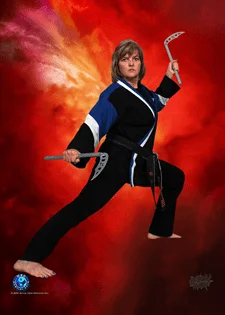 MBD Martial Arts Des Plaines academy photo