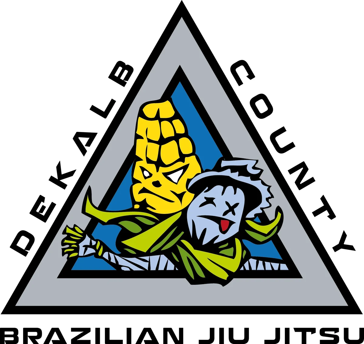 DeKalb County BJJ facility image