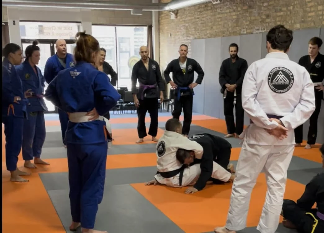 Double Five Jiu-Jitsu School in West Town facility image