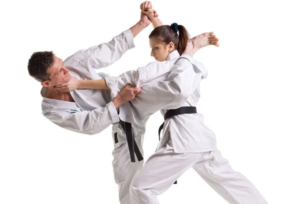 Ekim’s Karate Kickboxing & MMA academy photo