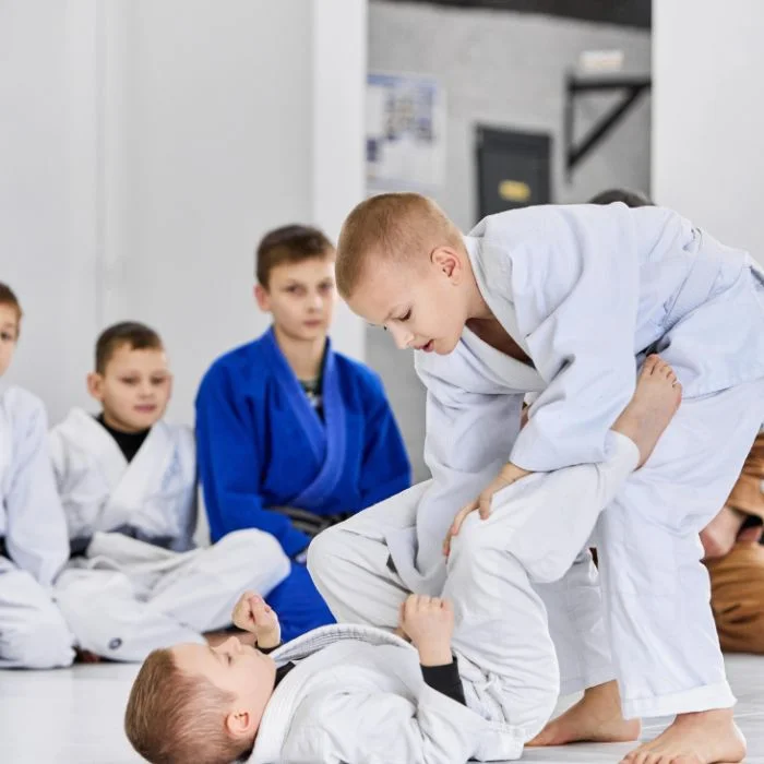 Fit & Fight Gym (Niles) academy photo