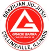 GRACIE BARRA COLLINSVILLE academy photo