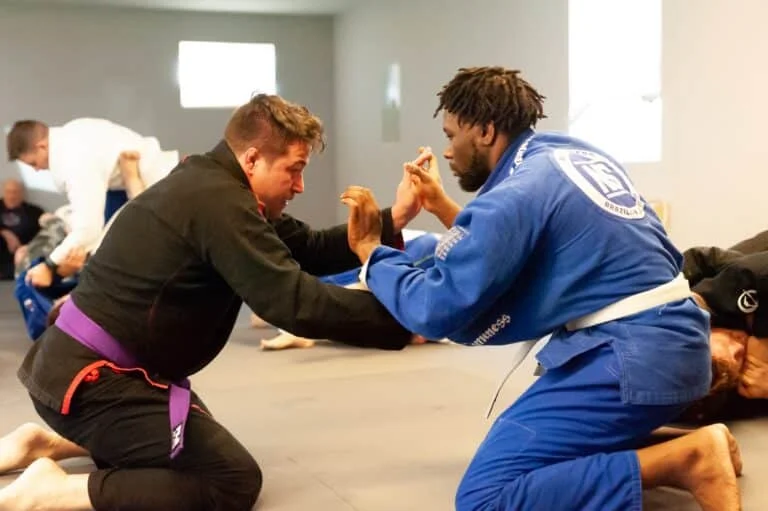 HeadNod American Jiu Jitsu academy photo