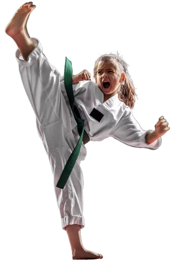Jin Martial Arts (Beyond self-defense to self-defining) facility image