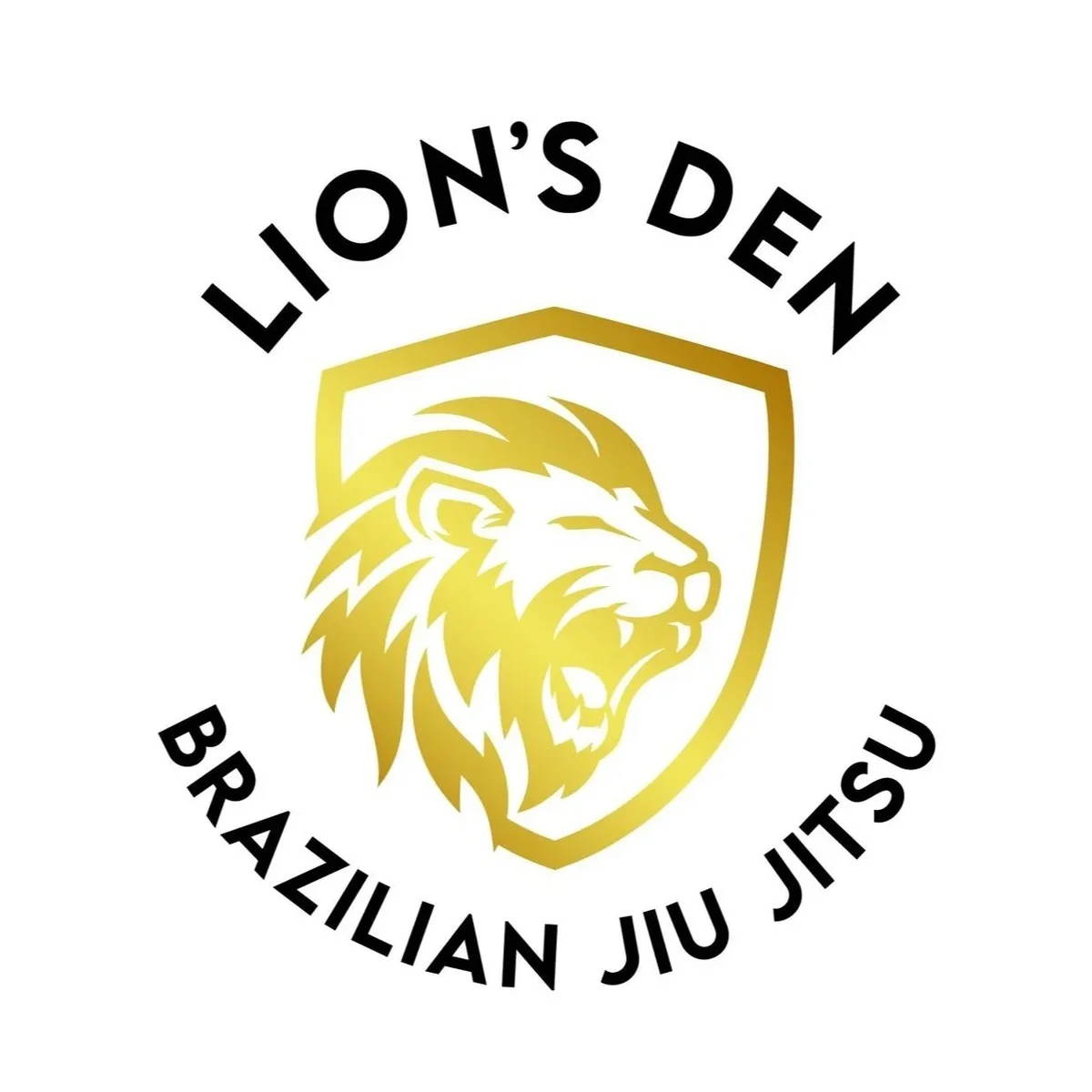 Lion’s Den Jiu Jitsu academy photo