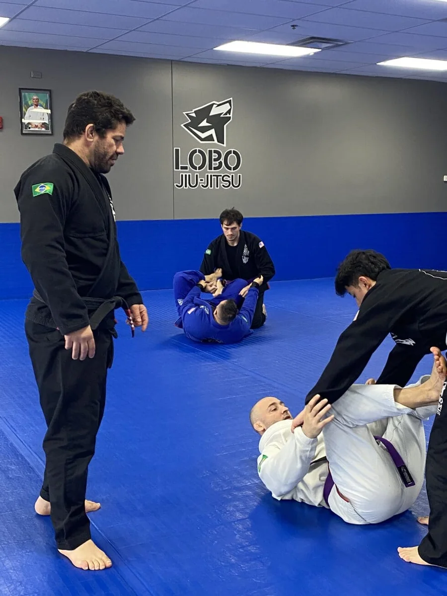 Lobo Jiu Jitsu facility image