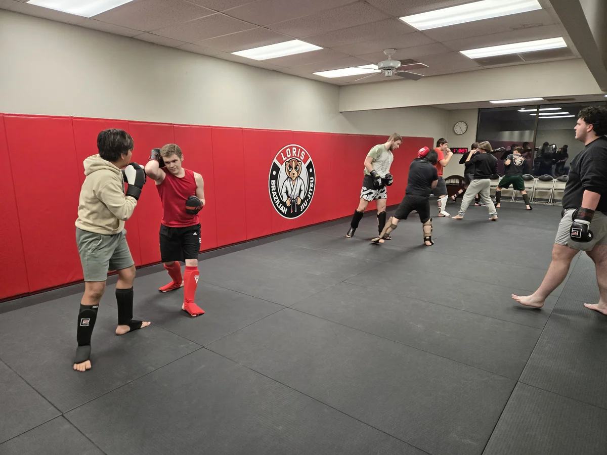 Loris Brazilian Jiu-Jitsu academy photo