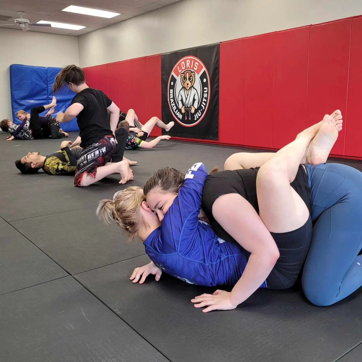 Loris Brazilian Jiu-Jitsu academy photo