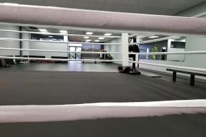 Mango Combat Sports facility image