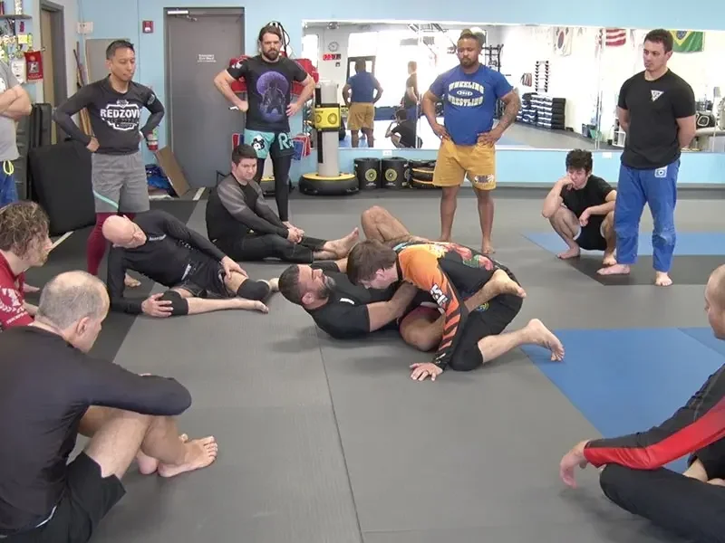 Mundelein's Best Martial Arts SCHOOL (ACTION Martial Arts Mundelein) academy photo