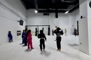 North Side Brazilian Jiu Jitsu academy logo