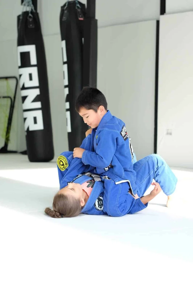 North Side Brazilian Jiu Jitsu facility image