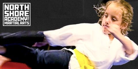 Northshore Academy of Martial Arts facility image