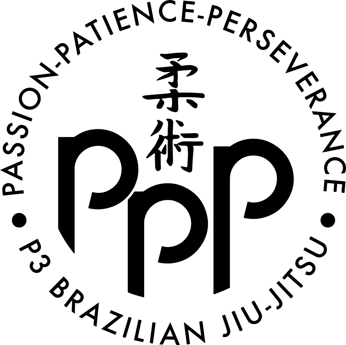 P3 Martial Arts Schaumburg facility image