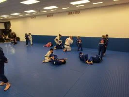 Premier Jiu-Jitsu Academy - Glenview academy photo