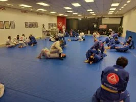 Premier Jiu-Jitsu Academy - Glenview academy photo