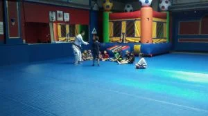 Premier Jiu-Jitsu Academy - Glenview academy photo