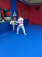 Premier Jiu-Jitsu Academy - Glenview academy photo