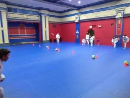 Premier Jiu-Jitsu Academy - Glenview academy photo