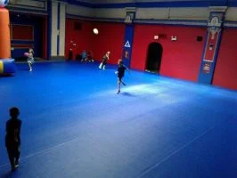 Premier Jiu-Jitsu Academy - Glenview academy photo