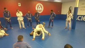 Premier Jiu-Jitsu Academy - Glenview academy photo