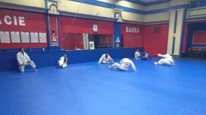 Premier Jiu-Jitsu Academy - Glenview academy photo