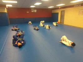 Premier Jiu-Jitsu Academy - Glenview academy photo
