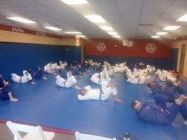 Premier Jiu-Jitsu Academy - Glenview academy photo