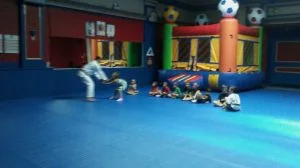 Premier Jiu-Jitsu Academy - Glenview academy photo