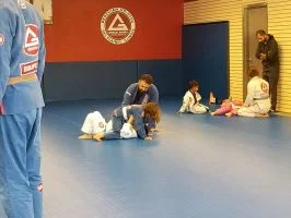 Premier Jiu-Jitsu Academy - Glenview academy photo