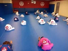 Premier Jiu-Jitsu Academy - Glenview academy photo