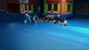Premier Jiu-Jitsu Academy - Glenview academy photo