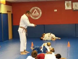 Premier Jiu-Jitsu Academy - Glenview academy photo