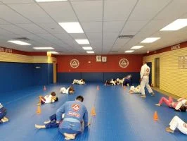 Premier Jiu-Jitsu Academy - Glenview academy photo