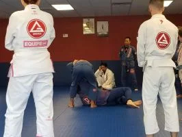 Premier Jiu-Jitsu Academy - Glenview academy photo