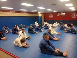 Premier Jiu-Jitsu Academy - Glenview academy photo