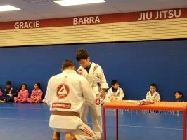 Premier Jiu-Jitsu Academy - Glenview academy photo