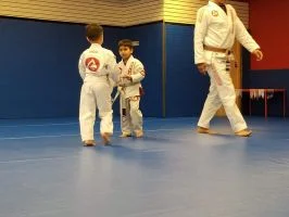 Premier Jiu-Jitsu Academy - Glenview academy photo