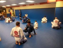 Premier Jiu-Jitsu Academy - Glenview academy photo