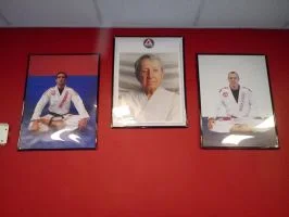 Premier Jiu-Jitsu Academy - Glenview academy photo