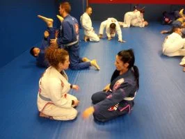 Premier Jiu-Jitsu Academy - Glenview academy photo
