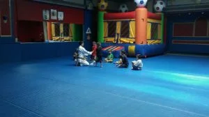 Premier Jiu-Jitsu Academy - Glenview academy photo