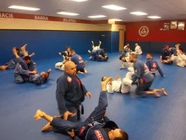 Premier Jiu-Jitsu Academy - Glenview academy photo