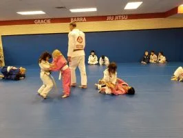 Premier Jiu-Jitsu Academy - Glenview academy photo