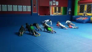 Premier Jiu-Jitsu Academy - Glenview academy photo