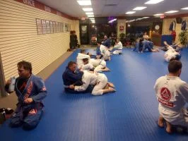 Premier Jiu-Jitsu Academy - Glenview academy photo