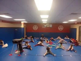 Premier Jiu-Jitsu Academy - Glenview academy photo