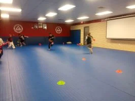 Premier Jiu-Jitsu Academy - Glenview academy photo