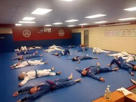 Premier Jiu-Jitsu Academy - Glenview academy photo