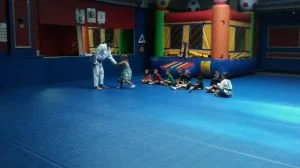 Premier Jiu-Jitsu Academy - Glenview academy photo